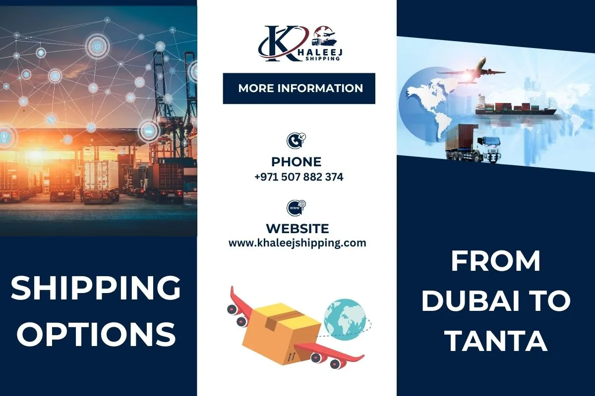 Shipping Options from Dubai to Tanta